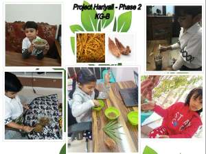 Project Hariyali- phase 2