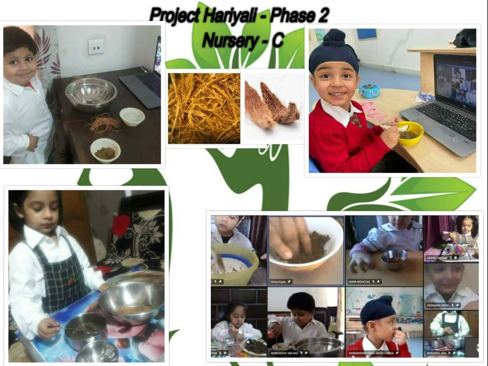 Project Hariyali- phase 2