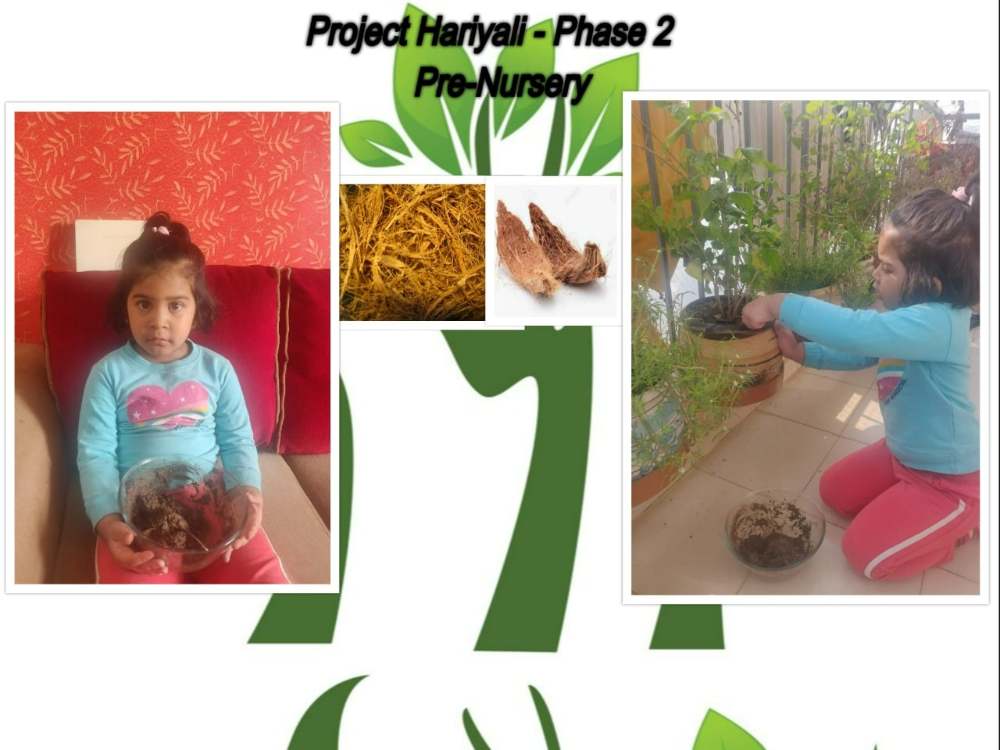 Project Hariyali- phase 2
